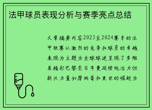 法甲球员表现分析与赛季亮点总结