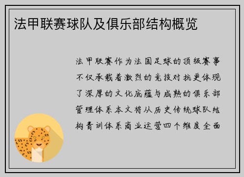 法甲联赛球队及俱乐部结构概览